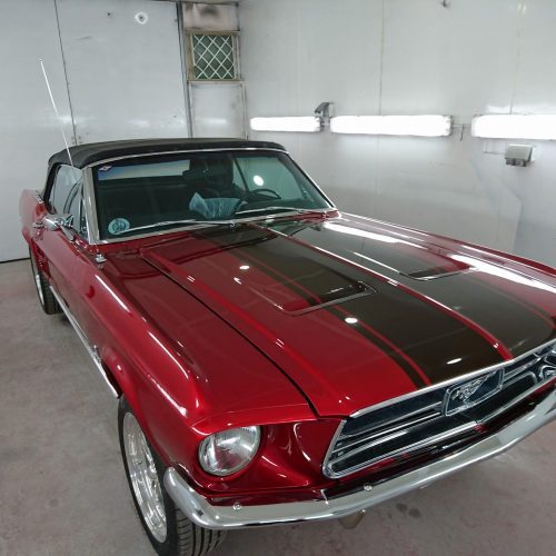 490806372_3935650746657487_2523499074416047131_n 490806372_3935650746657487_2523499074416047131_n